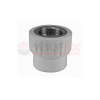 Муфта переходная с наружной резьбой 25 x 3/4 (100/25) (Valfex) СЕРАЯ